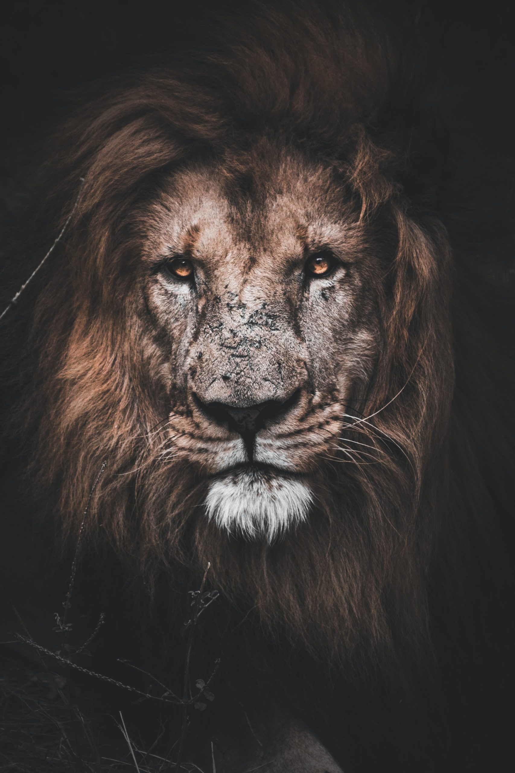 matthew-kerslake-BpH--upRlCs-unsplash