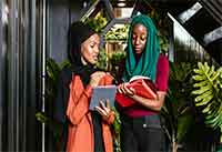 compliance-4 P.A. Osino & Co. Advocate Property compliance law