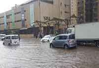 environmental2 P.A. Osino & Co. Advocate Property environmental law